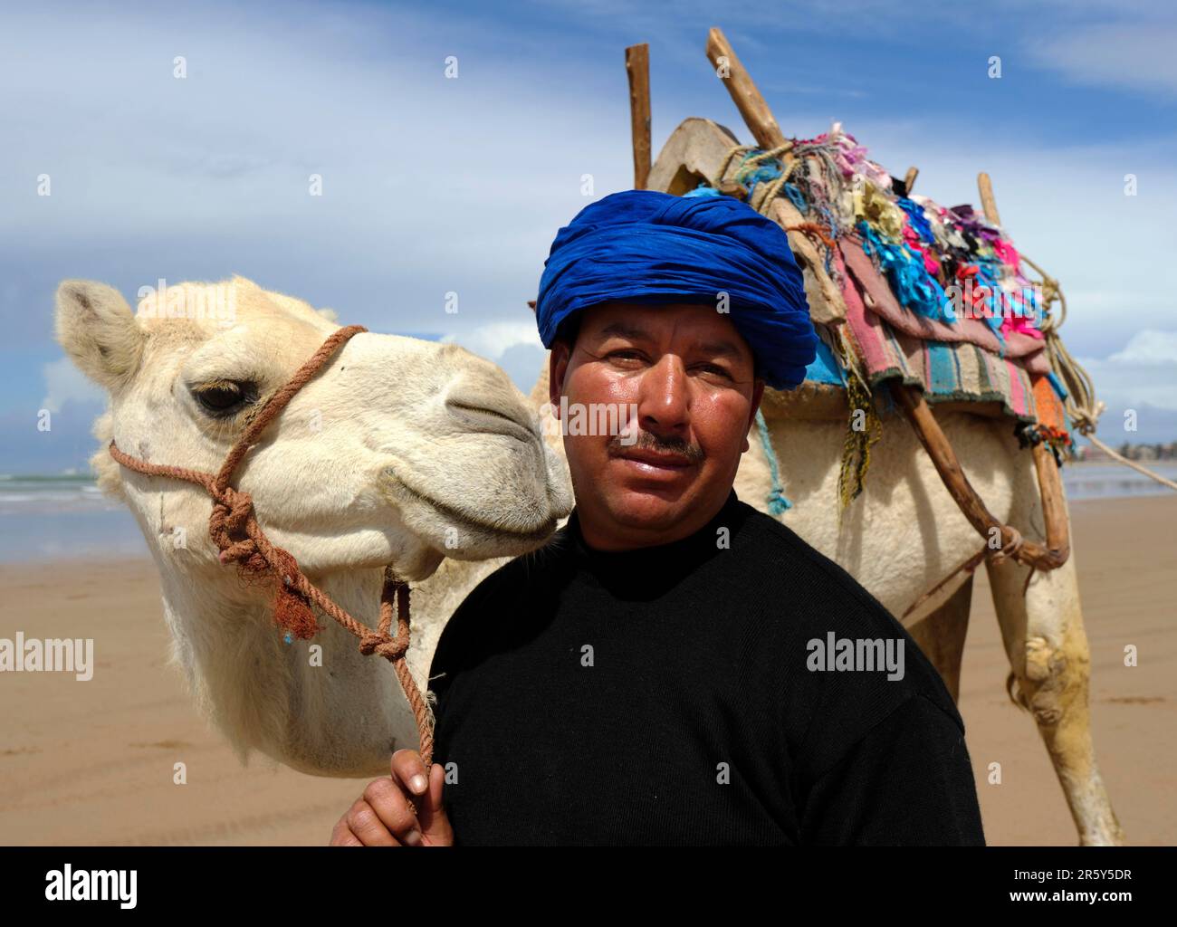 Maroc, chauffeur dromadaire, plage, Essaouira Banque D'Images