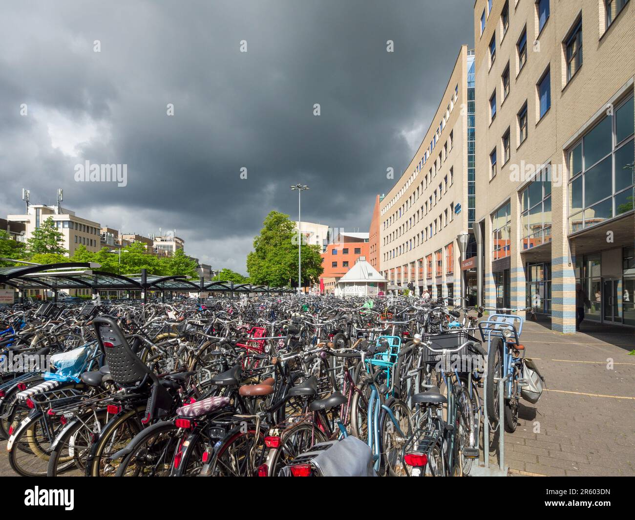 Vélos garés sous un abri à l'extérieur de la gare centrale d'Amersfoort, pays-Bas, Europe. Banque D'Images