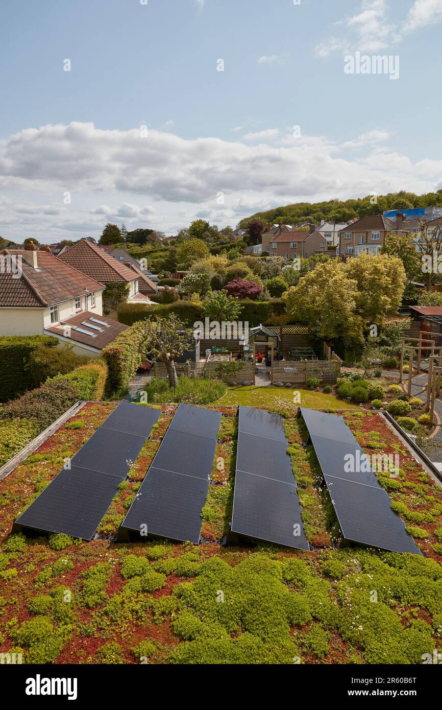 Panneaux solaires sur toit vert Banque D'Images
