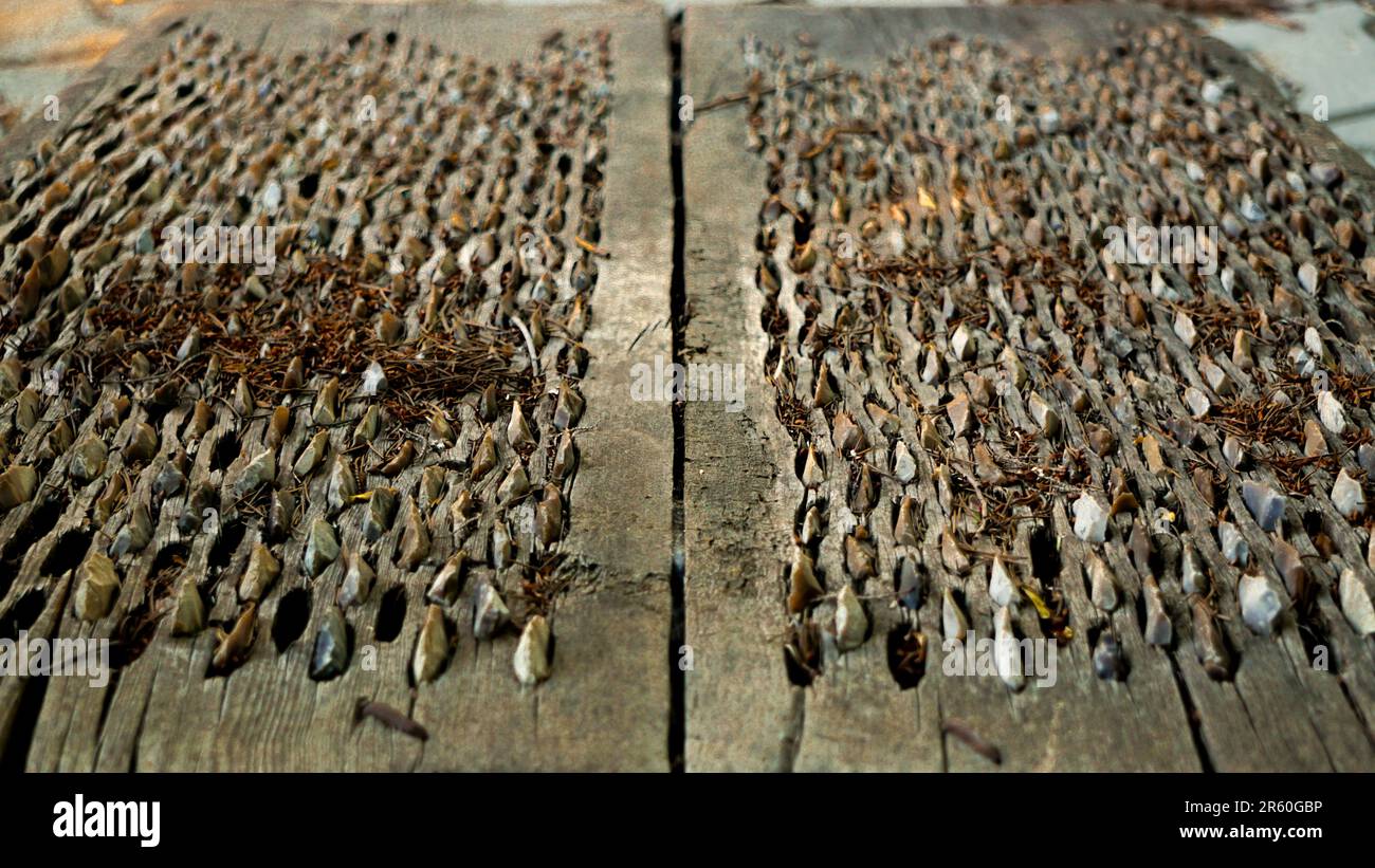 Batteur agricole artisanal d'époque, vue rapprochée, bois et rochers utilisés avec mule ou le bétail Banque D'Images