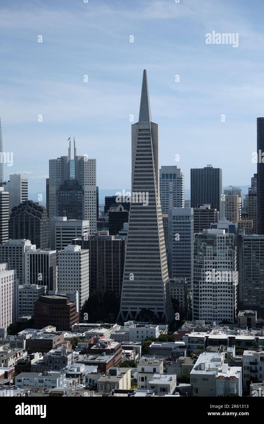 Une verticale de la Transamerica Pyramid à San Francisco, Californie, Etats-Unis Banque D'Images