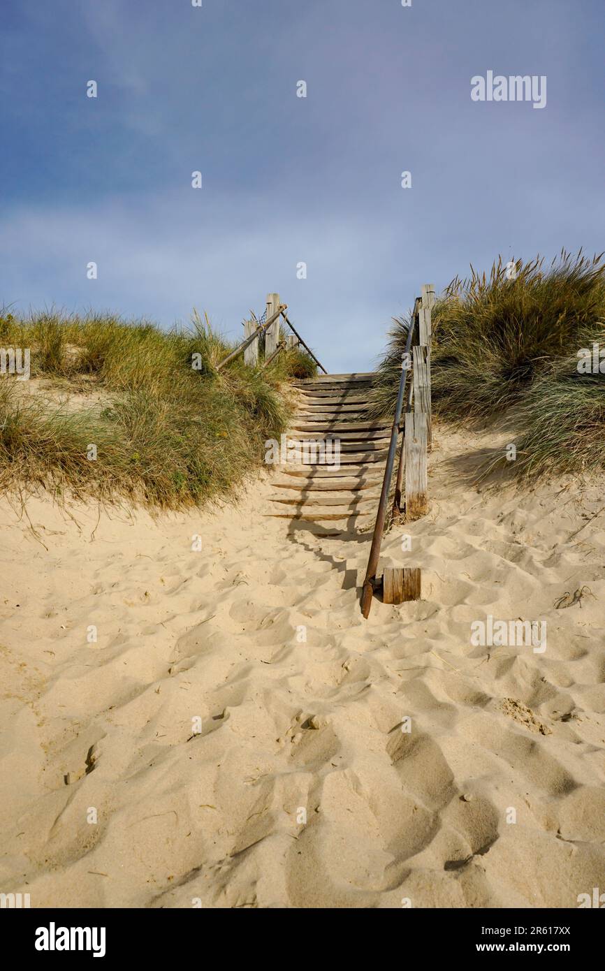 marches en bois jusqu'à la plage de sable. paysage côtier le jour d'été Banque D'Images