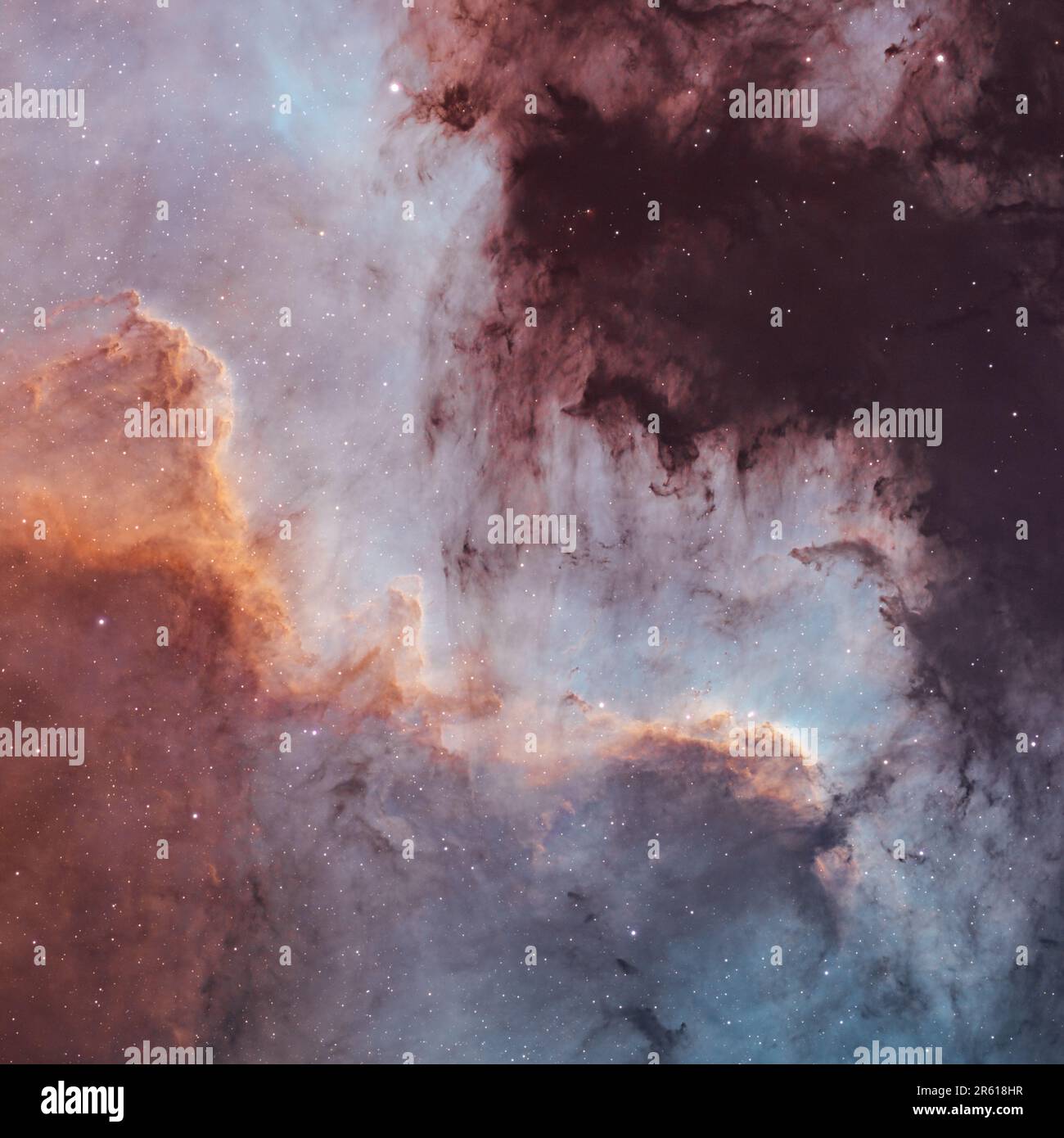 Astrophotographie de ciel profond haute résolution de la formation Cygnus Wall of Star Banque D'Images