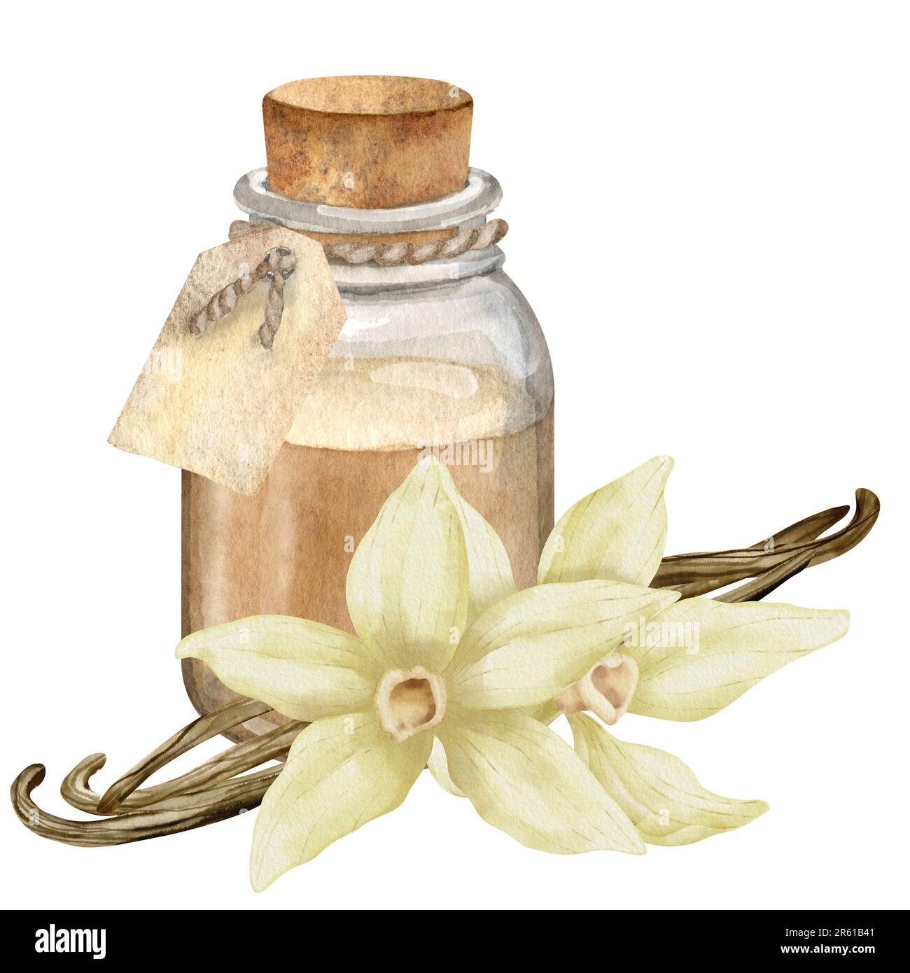 Huile essentielle à la vanille avec fleurs et bâtonnets. Illustration aquarelle dessinée à la main d'un biberon transparent vintage pour une thérapie aromatique sur fond blanc isolé. Flacon rétro pour une saveur cosmétique. Banque D'Images