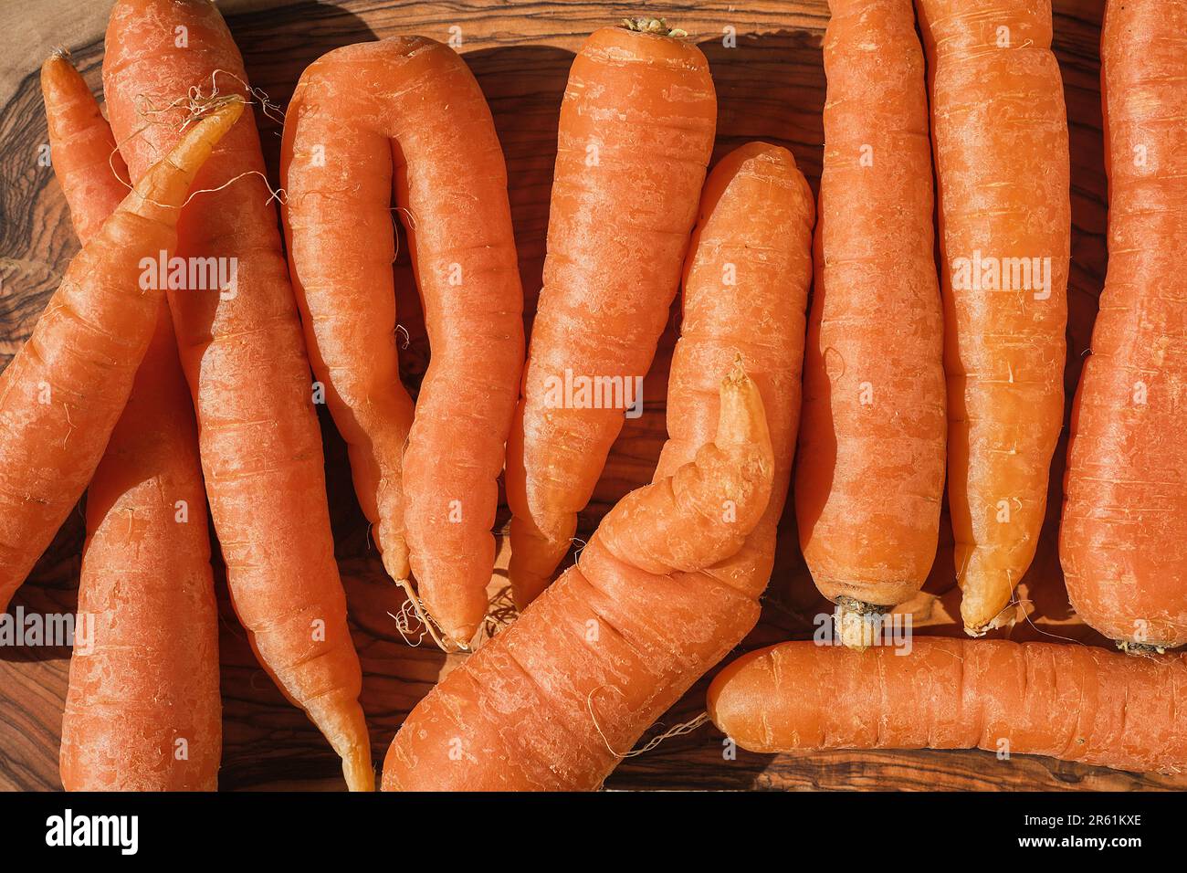 Carottes bio fraîchement cueillies sur une planche à découper en bois, vue de dessus, préparation de salade végétalienne Banque D'Images