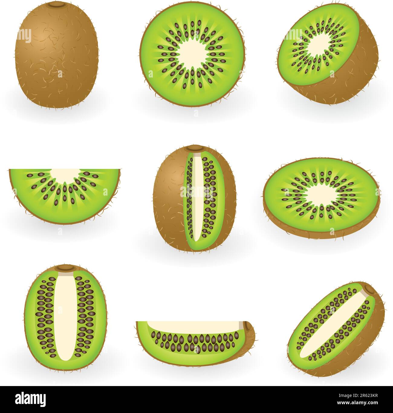 Illustration vectorielle du kiwi Illustration de Vecteur