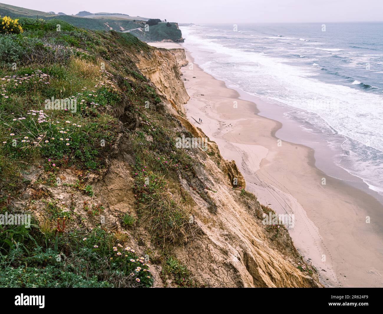La Great Highway en direction du sud depuis San Francisco offre une expérience de conduite agréable avec une vue fantastique sur la côte. Banque D'Images