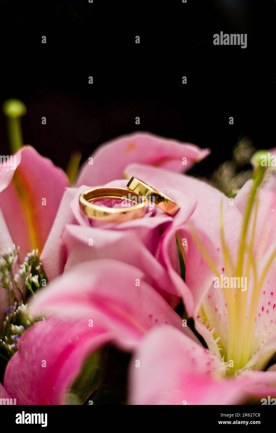 Image des anneaux de mariage sur nénuphars roses Banque D'Images