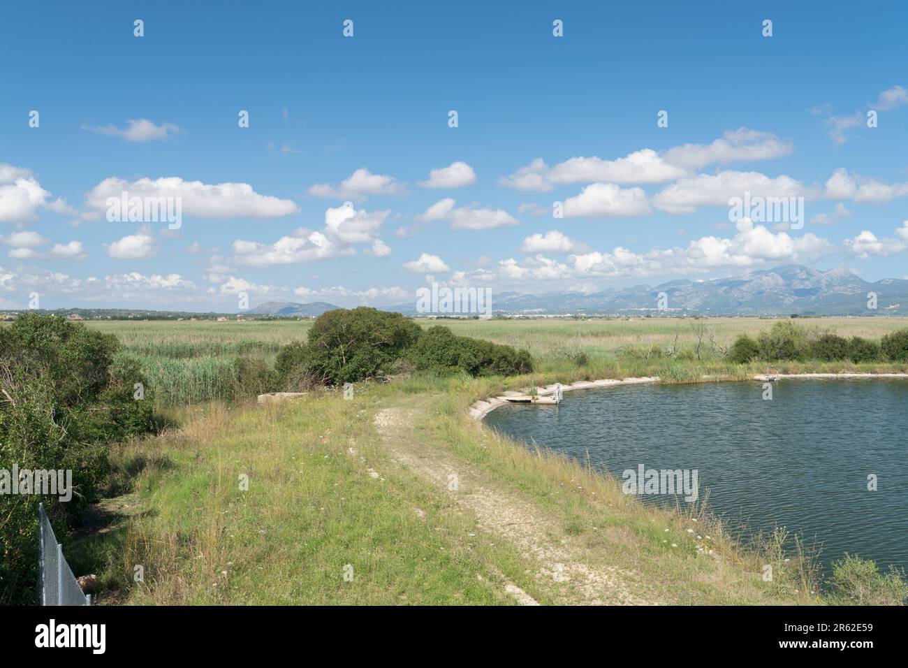 Vue sur les eaux de marais et de Depuradora, s'Albufera, Mallorca, Espagne, 5 juin 2023 Banque D'Images