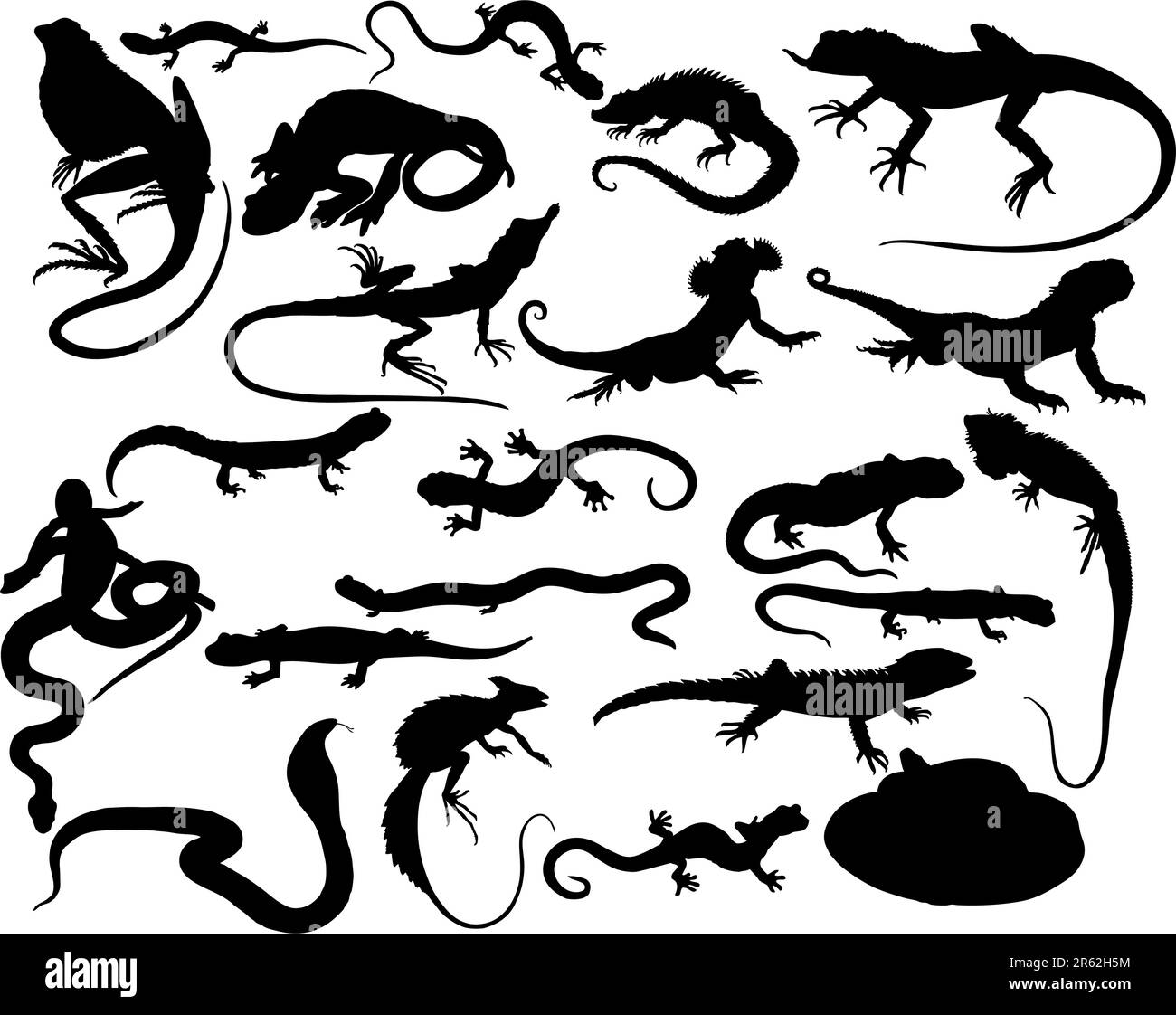Ensemble de vecteur noir reptiles sur le livre blanc Illustration de Vecteur
