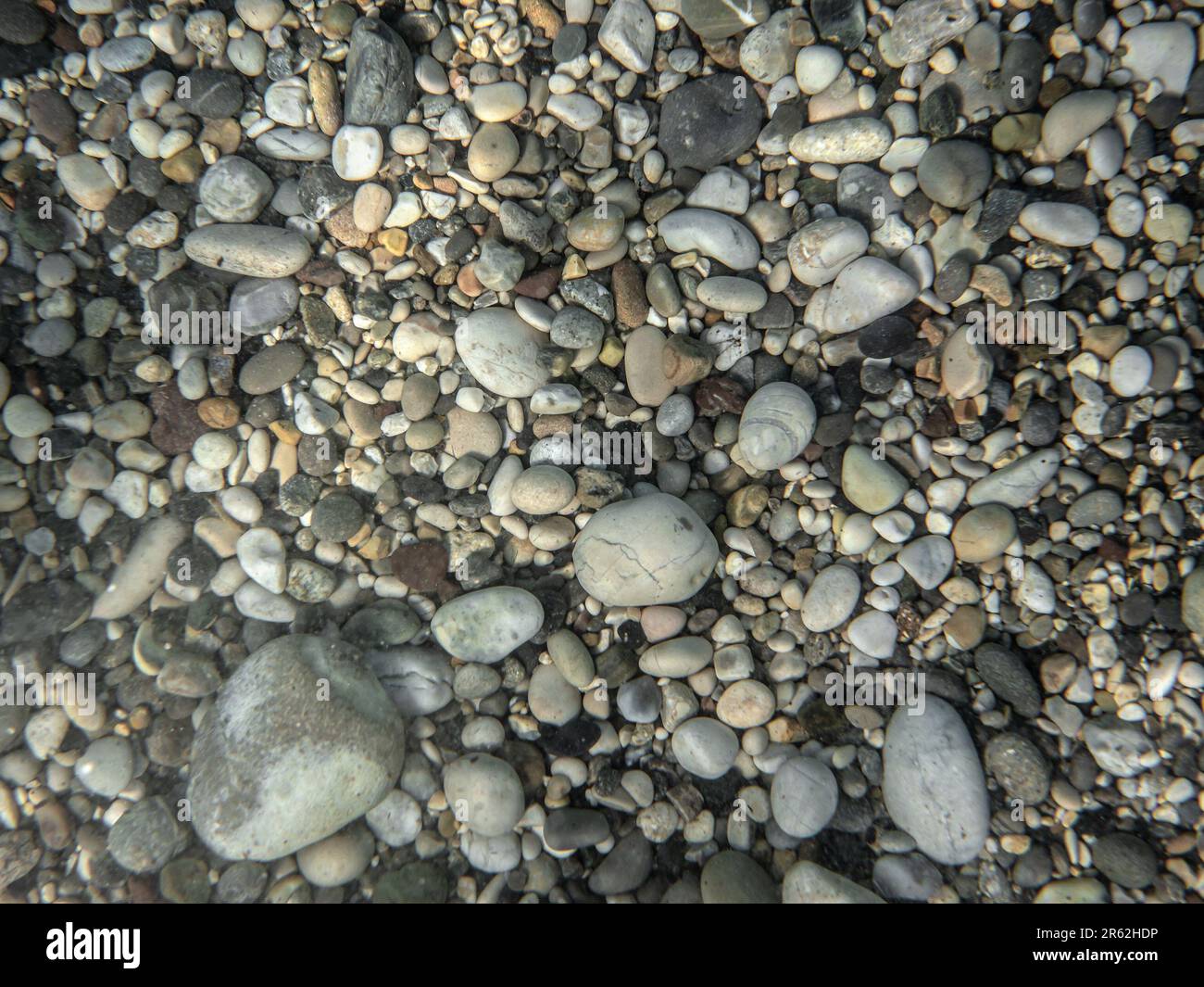 Petits rochers ronds ou cailloux peu couverts d'algues, gros plan photo sous-marine Banque D'Images