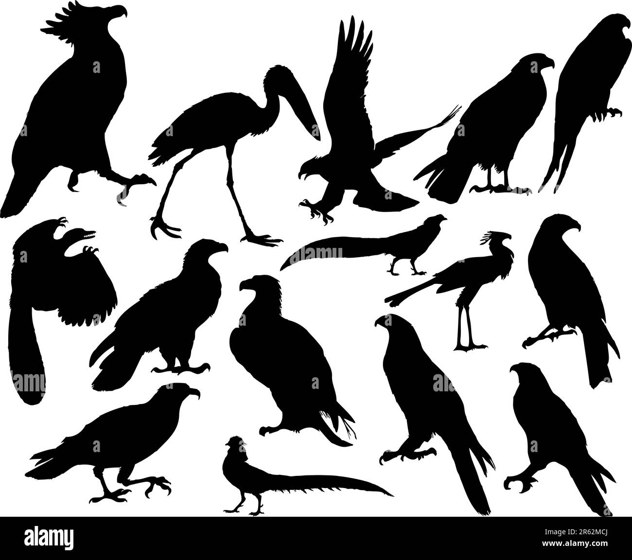 Illustrations Vector silhouettes noir sur blanc oiseaux Illustration de Vecteur