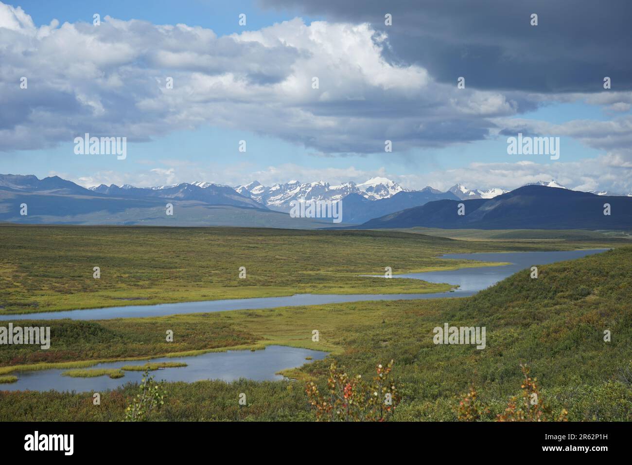 Immensité des paysages. Les plaines verdoyantes, les arbres imposants et les montagnes lointaines créent une toile de fond à couper le souffle pour les longs voyages et les rêves de terres lointaines Banque D'Images