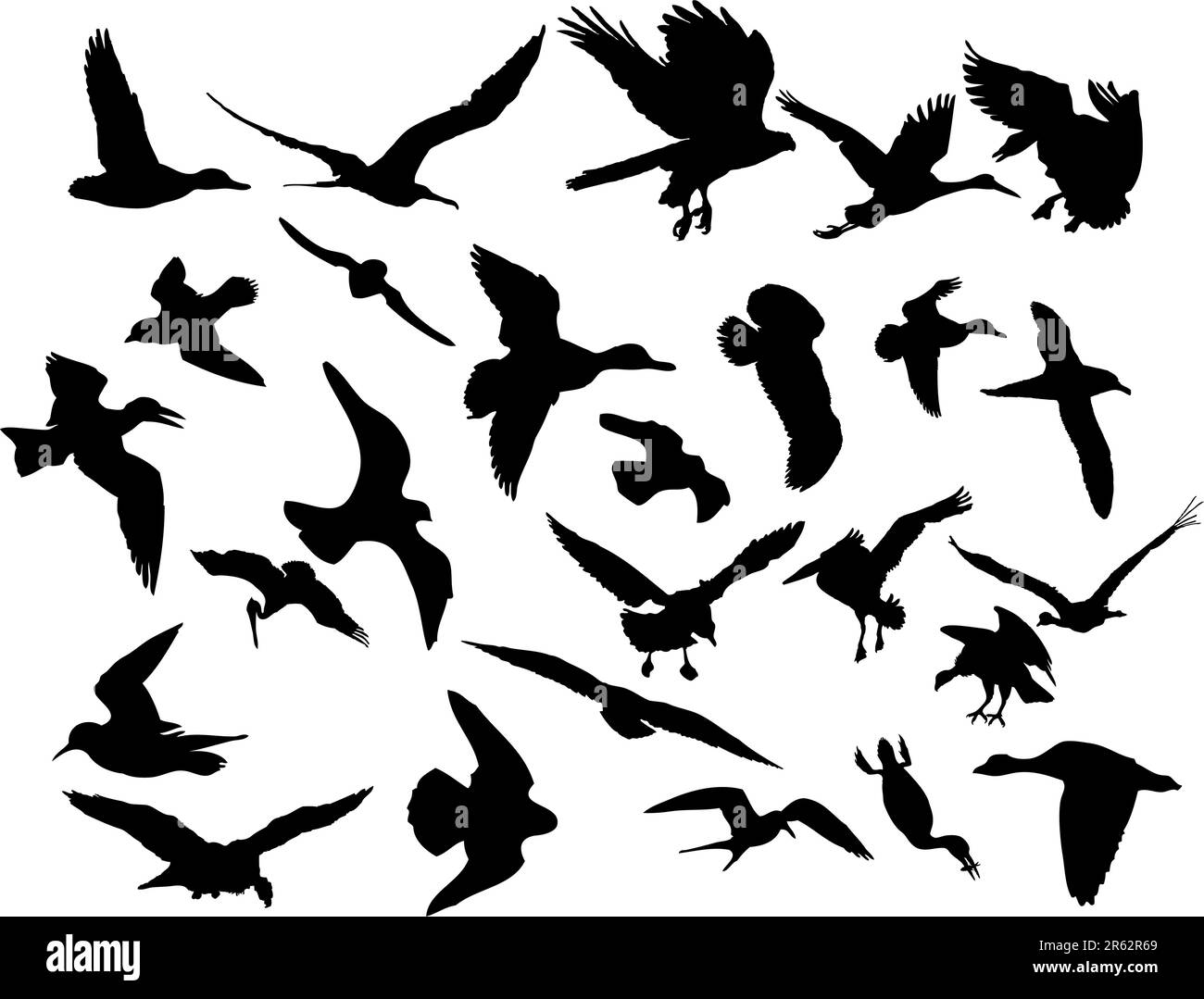 Illustrations Vector silhouettes noir sur blanc oiseaux Illustration de Vecteur