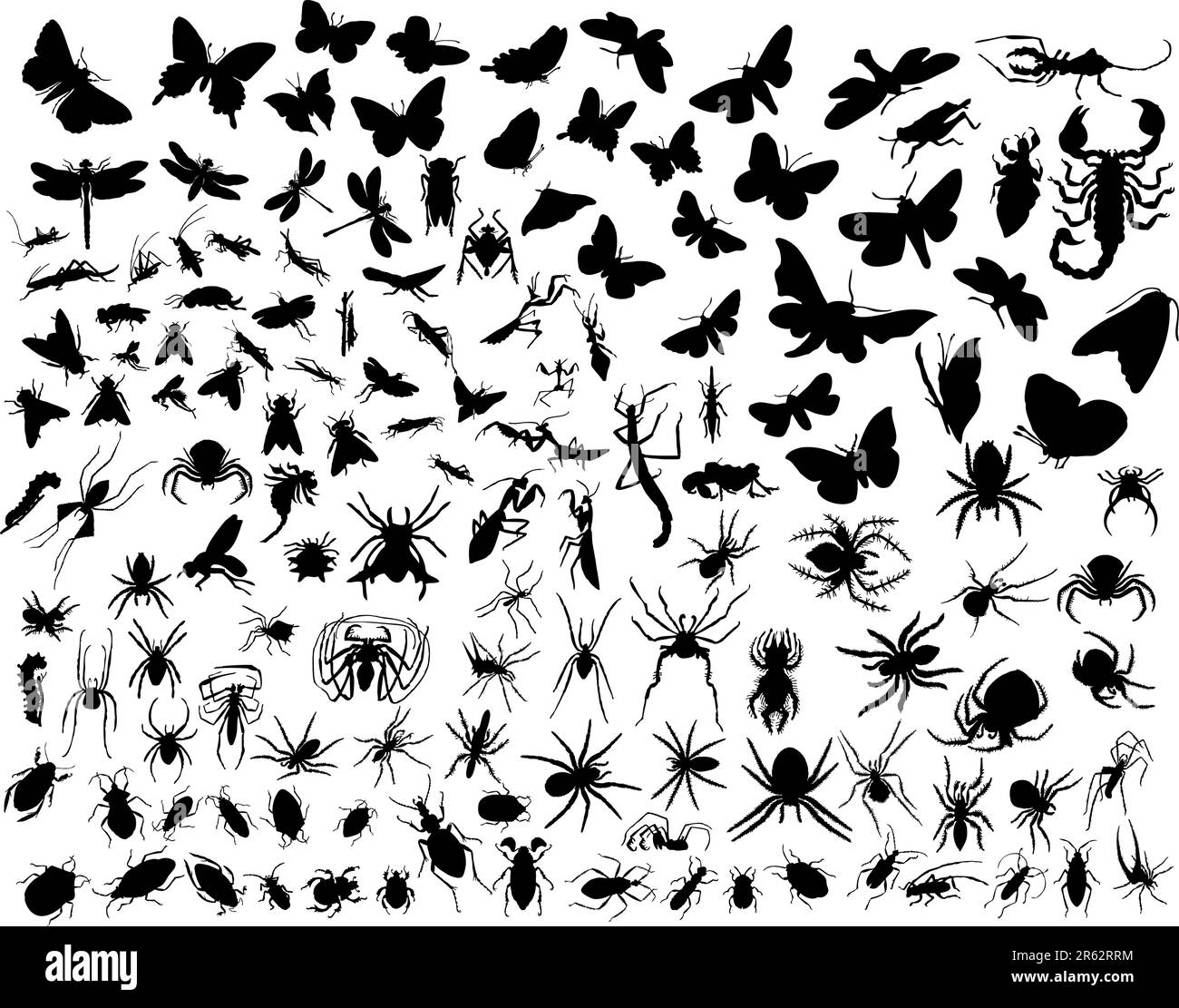 Grande collection de différents insectes vecteurs silhouettes Illustration de Vecteur