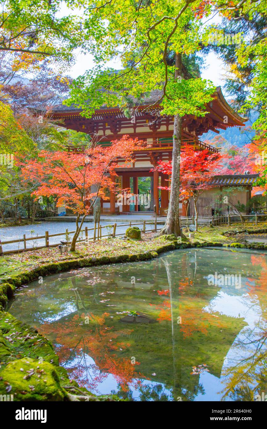 Porte et étang de Niomon au temple de Muroji Banque D'Images