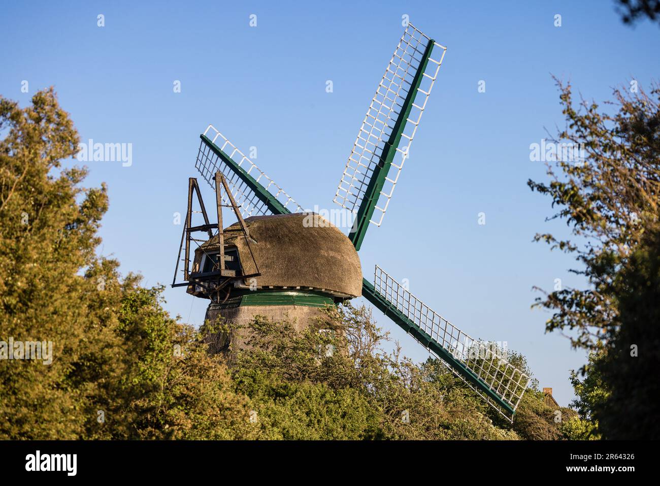 Nieby, Allemagne. 06th juin 2023. Le moulin « Charlotte » est un point de repère et un point de repère dans le « Geltinger Birk ». De nombreux randonneurs et cyclistes passent le moulin tous les jours. La réserve naturelle 'Geltinger Birk' est située à la sortie du fjord de Flensburg. Avec une superficie totale de 773 ha, c'est la plus grande réserve naturelle du district de Schleswig-Flensburg. Credit: Frank Hammerschmidt/dpa/Alay Live News Banque D'Images
