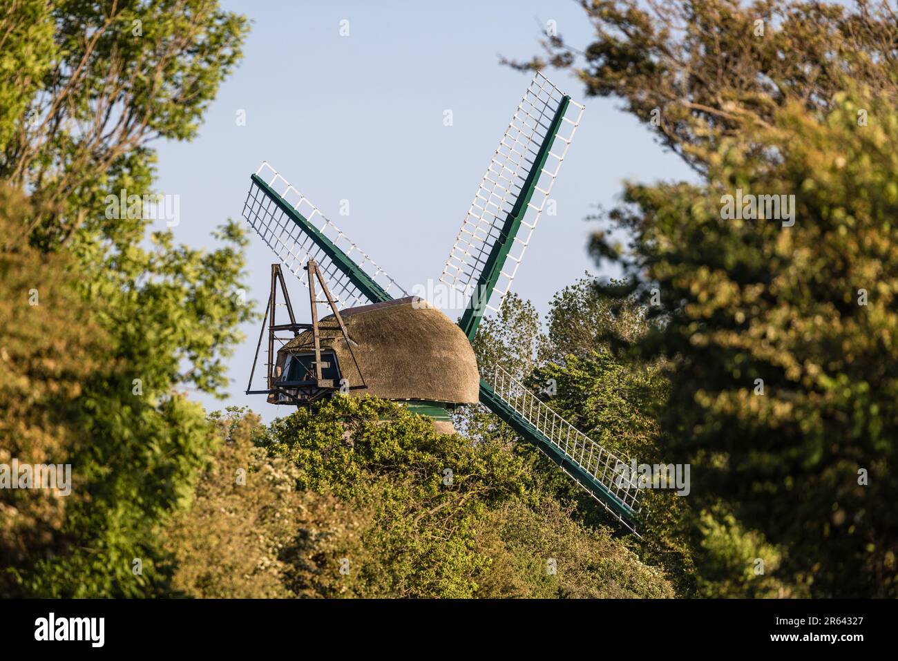 Nieby, Allemagne. 06th juin 2023. Le moulin « Charlotte » est un point de repère dans le « Geltinger Birk ». De nombreux randonneurs et cyclistes passent le moulin tous les jours. La réserve naturelle 'Geltinger Birk' est située à la sortie du fjord de Flensburg. Avec une superficie totale de 773 ha, c'est la plus grande réserve naturelle du district de Schleswig-Flensburg. Credit: Frank Hammerschmidt/dpa/Alay Live News Banque D'Images