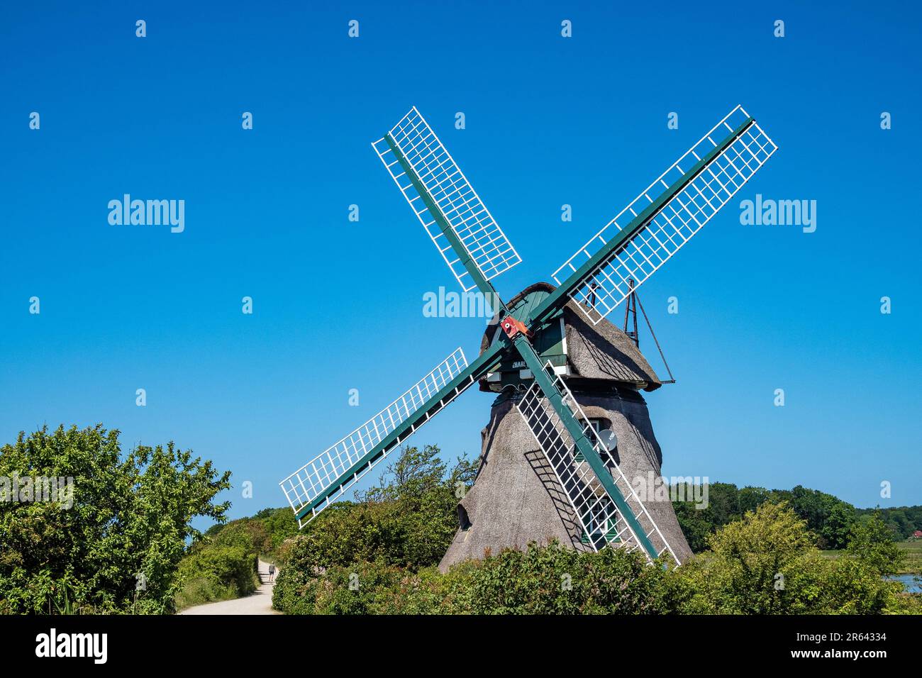 Nieby, Allemagne. 06th juin 2023. Le moulin « Charlotte » est un point de repère dans le « Geltinger Birk ». De nombreux randonneurs et cyclistes passent le moulin tous les jours. La réserve naturelle 'Geltinger Birk' est située à la sortie du fjord de Flensburg. Avec une superficie totale de 773 ha, c'est la plus grande réserve naturelle du district de Schleswig-Flensburg. Credit: Frank Hammerschmidt/dpa/Alay Live News Banque D'Images