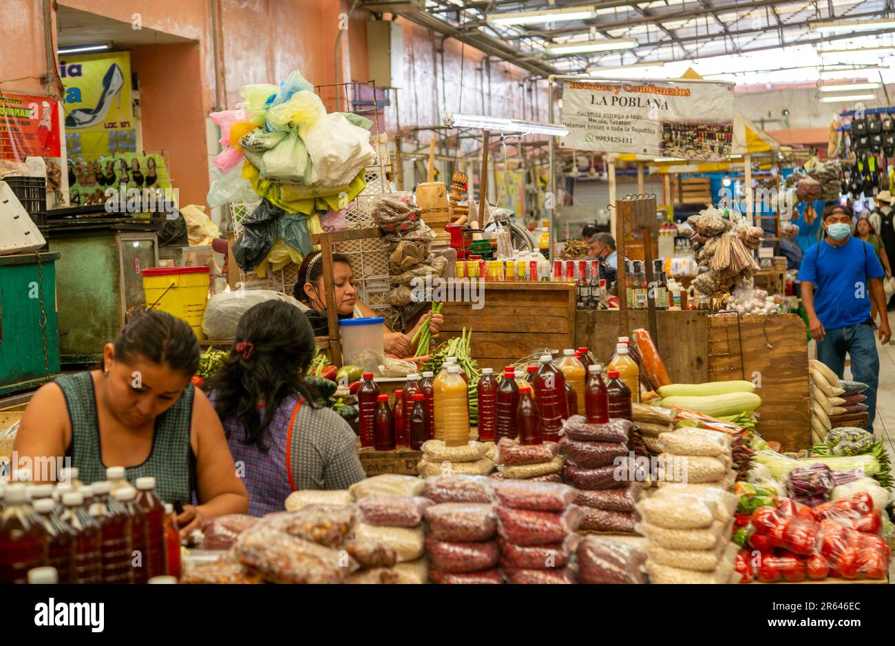 Intérieur du marché municipal de Mercado Lucas de Galvez, Merida, Yucatan, Mexique Banque D'Images