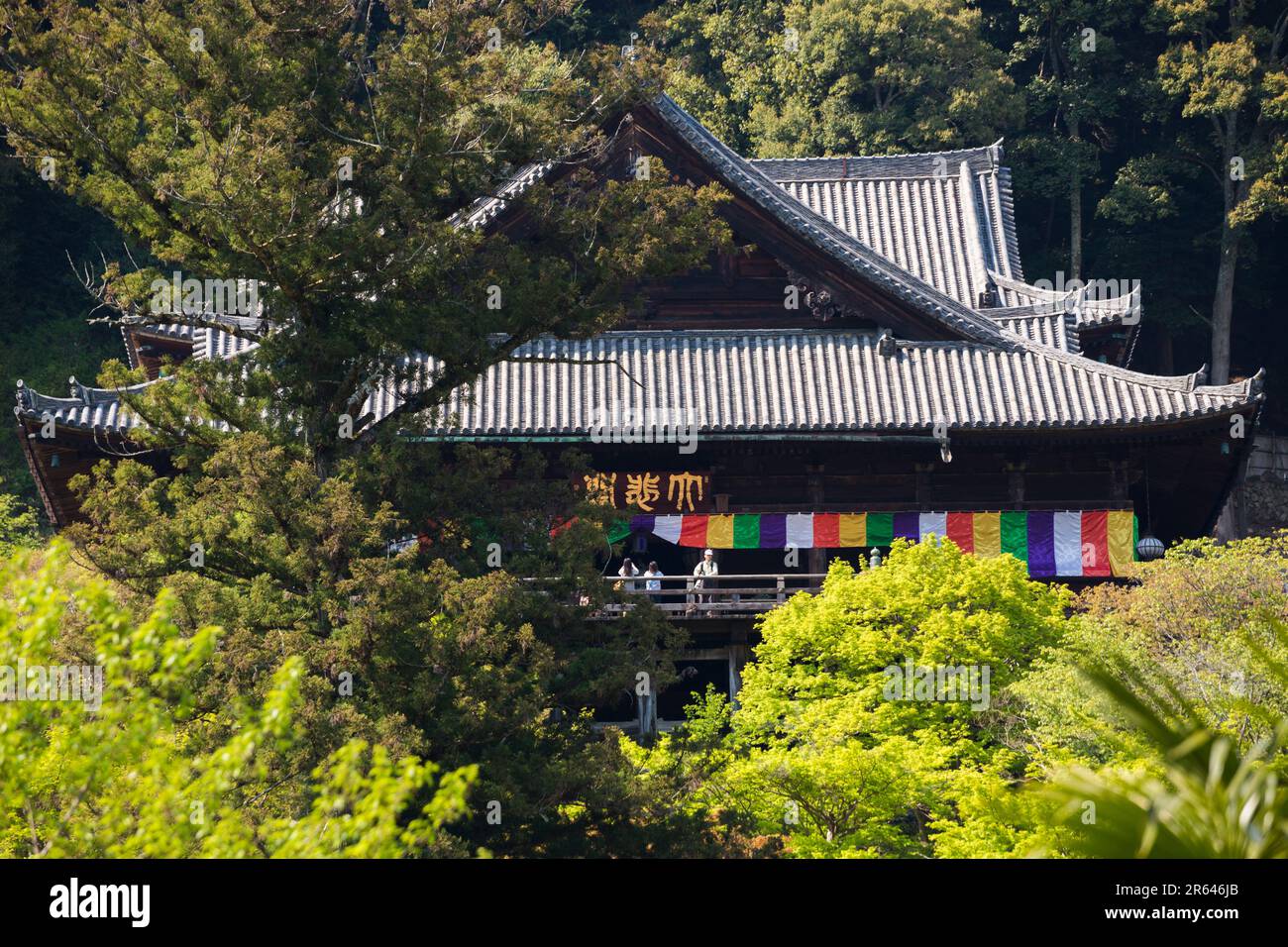Hondo (hall principal) du temple de Haseji Banque D'Images
