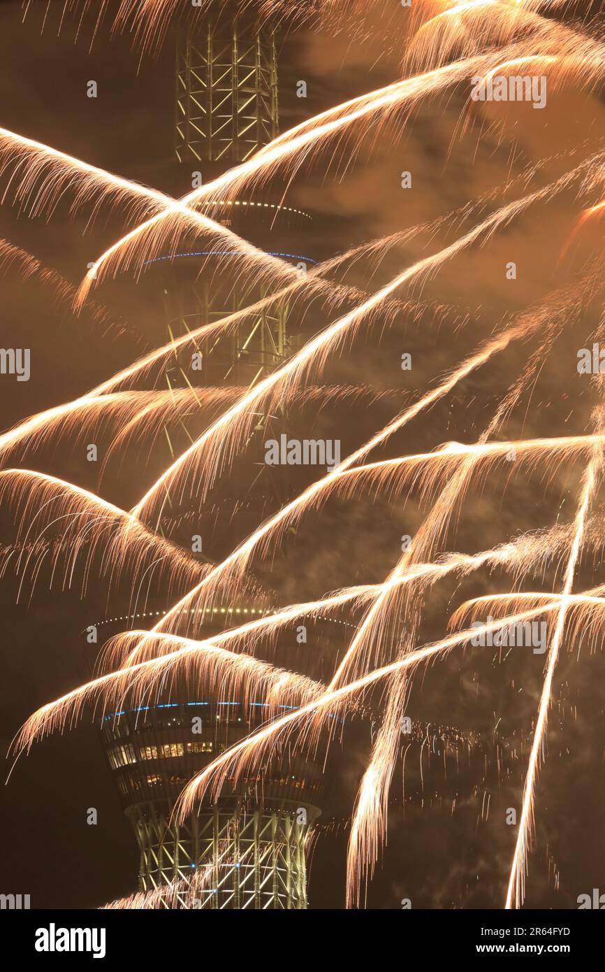 Sky Tree et feux d'artifice Banque D'Images