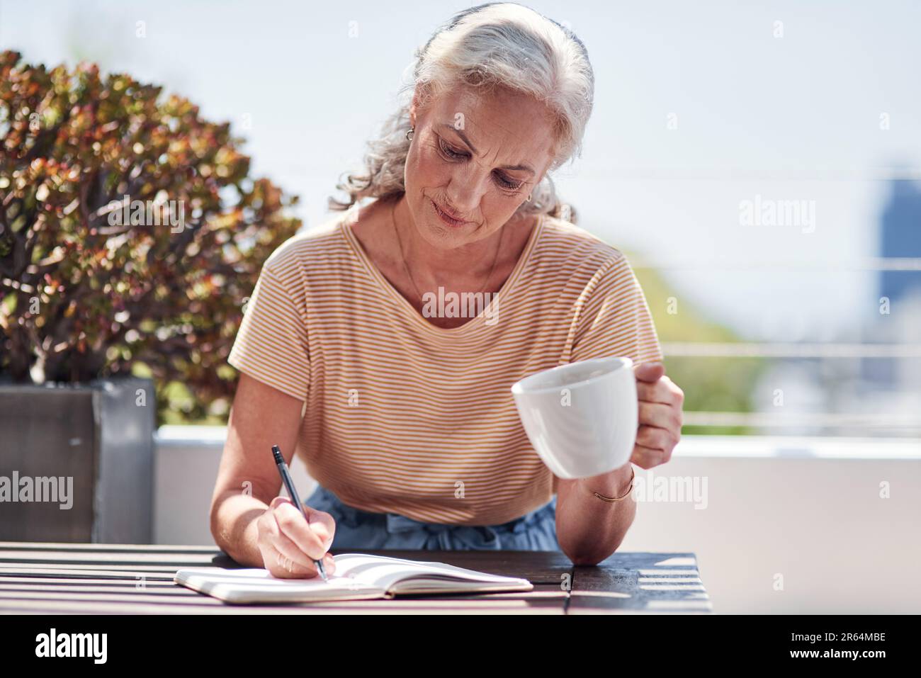 Écriture, livre et une vieille femme auteur assis à l'extérieur en été pour l'inspiration comme un écrivain. Idée, planification et une femme sénior qui boit Banque D'Images