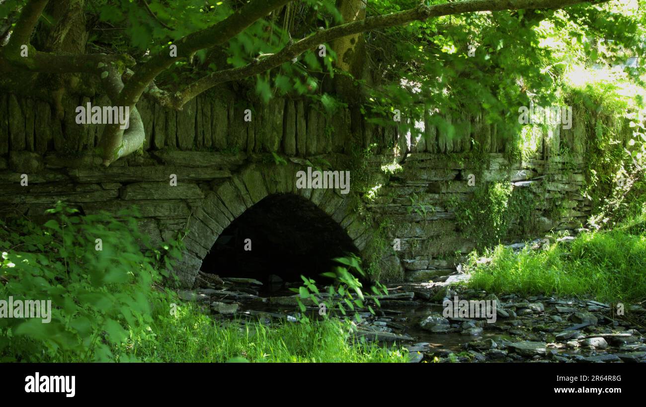 Arche en pierre transportant le tramway dans la vallée de Ratgoed près d'Aberllefenni, Gwynedd Banque D'Images