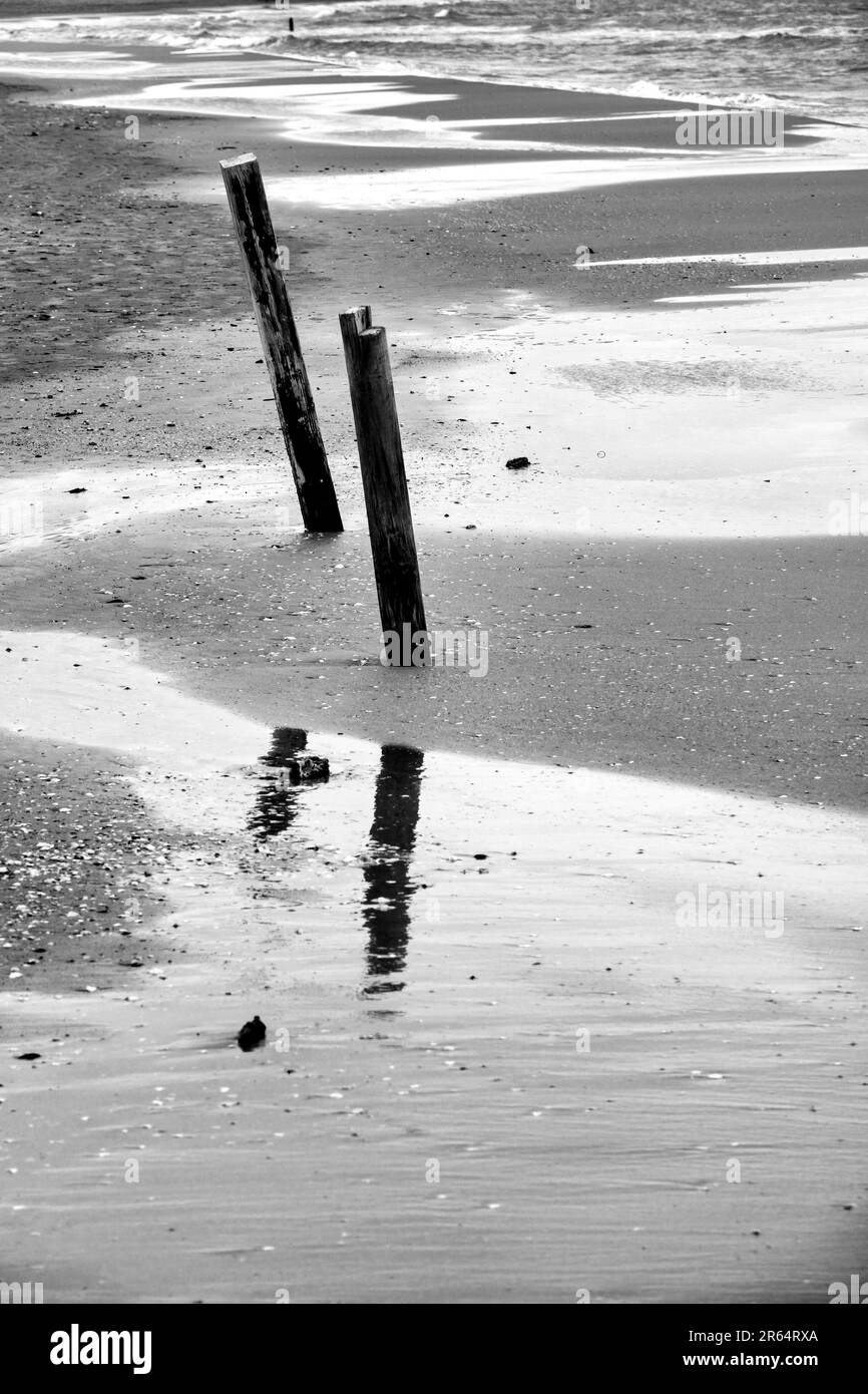 Photo en noir et blanc du bord de mer de Pescara en hiver, en Italie Banque D'Images