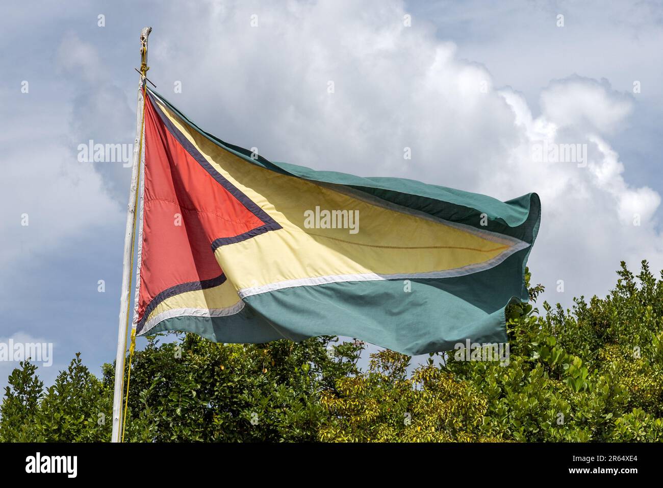 Drapeau national, Parc national de Kaieteur, Guyana Banque D'Images