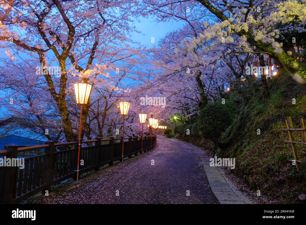 Maruoka Castle Road Banque D'Images