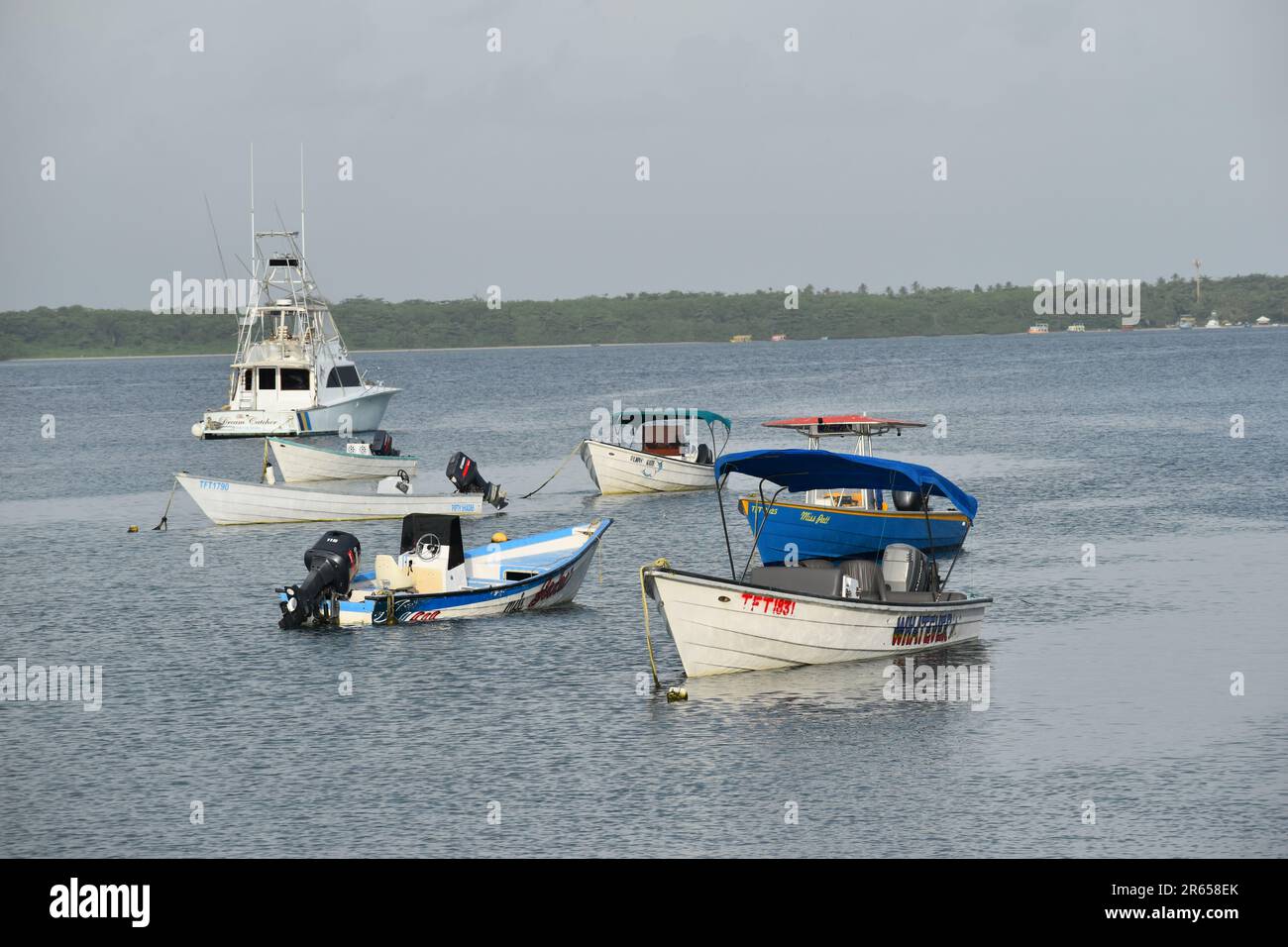 Bateaux de pêche ou pirogues à la plage de Buccoo, Tobago Banque D'Images