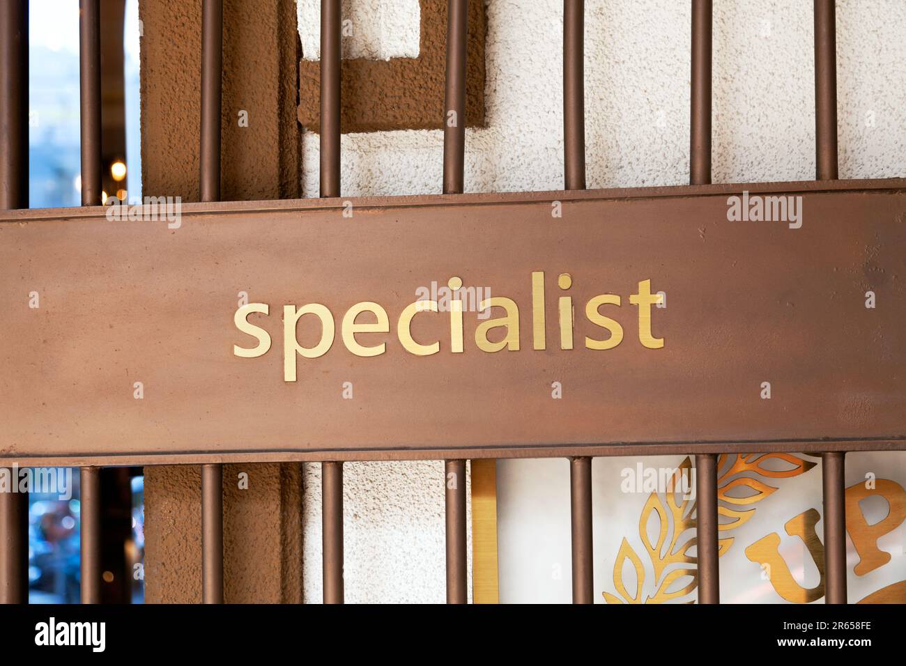 Word Specialist fait de lettres dorées sur une plaque de porte en bronze. Panneau d'information en métal à l'entrée d'un bureau d'experts Banque D'Images
