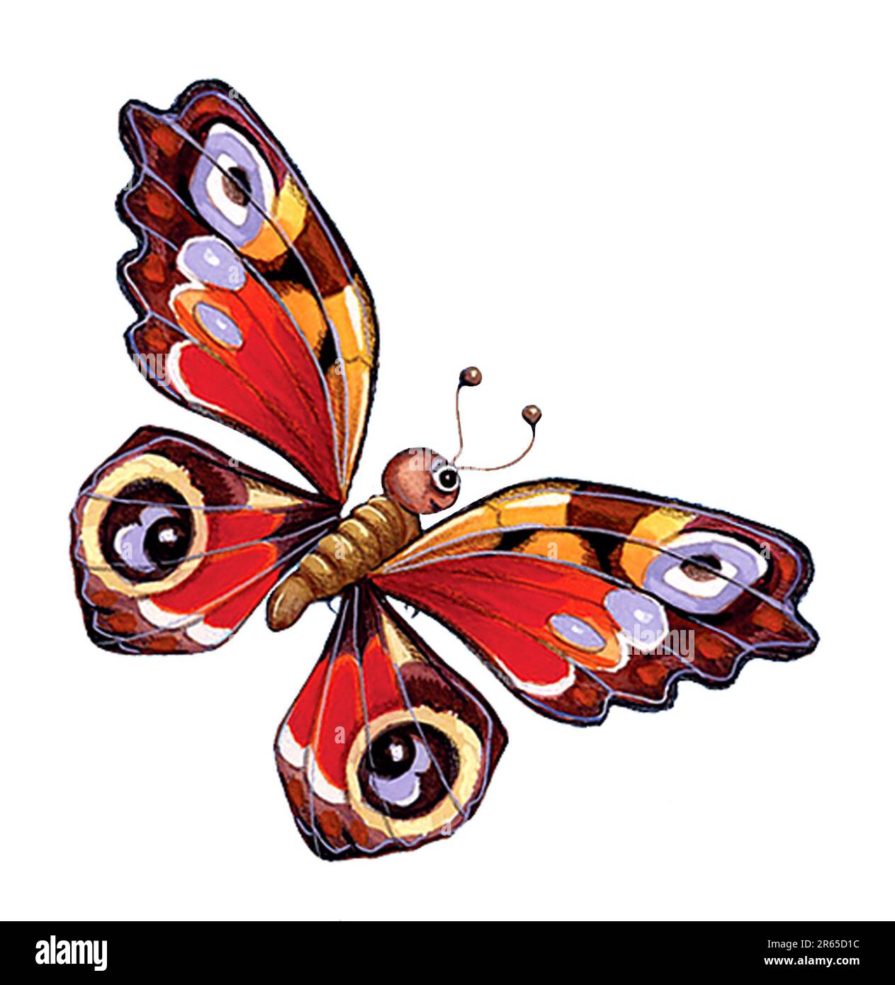 Papillon animal-colouful Banque D'Images