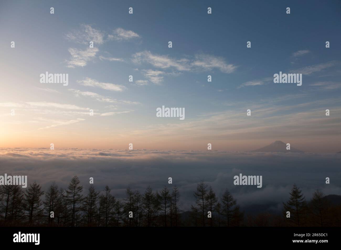 Fuji à partir du Mont Amari à l'aube Banque D'Images