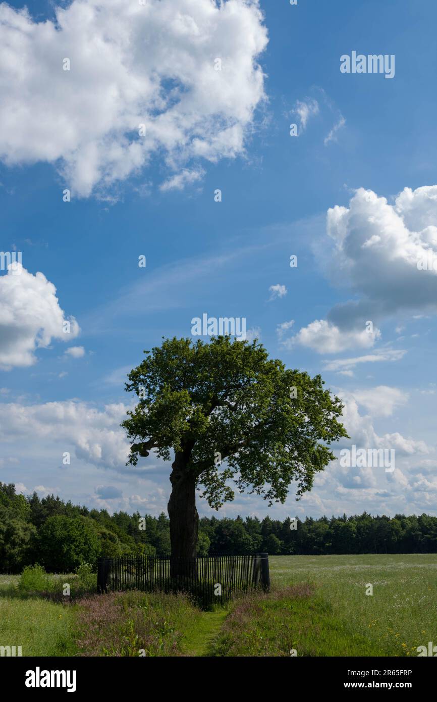 Boscobel House et le Royal Oak, Kiddemore Green Royaume-Uni Angleterre GB Banque D'Images