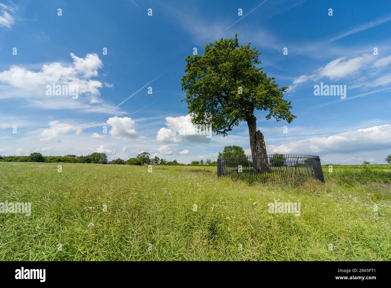 Boscobel House et le Royal Oak, Kiddemore Green Royaume-Uni Angleterre GB Banque D'Images