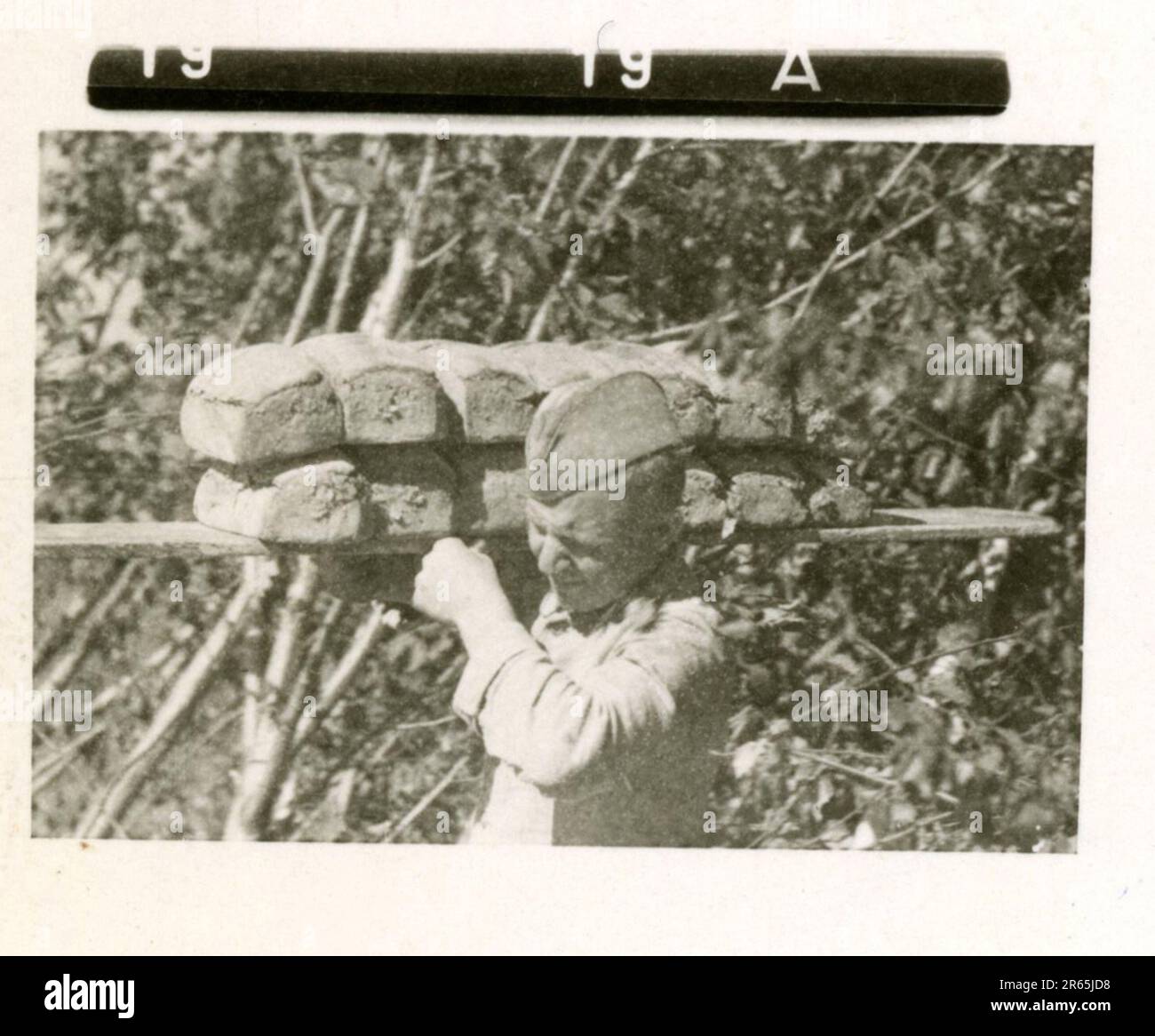 SS Photographer Baumann, Division Totenkopf, Russie 1941 unité de reconnaissance à roues, photos de motos, fusils de char, tombes, prisonniers de guerre russes et villageois, Fieseler Fi 156 Storch, chars et équipements russes détruits, construction de ponts, soldats nageant dans la rivière, équipage de mitrailleuses, équipage anti-char à canon, cérémonie de remise des prix de l'unité, Unités en mars, artillerie remorquée par demi-voies, unité d'entretien de véhicules automobiles, activités de Kriegsberichter, boulangerie de campagne, hôpital de campagne, réapprovisionnement en air par JU-52, unité de projecteurs antiaériens, bureau de poste de campagne, et un Focke-Wulf 189 (Eagle-Owl) en vol. IMA Banque D'Images
