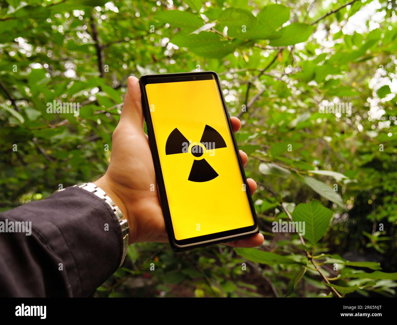 Panneau d'avertissement de rayonnement nucléaire sur l'écran d'un smartphone dans la forêt verte pendant l'été. Banque D'Images