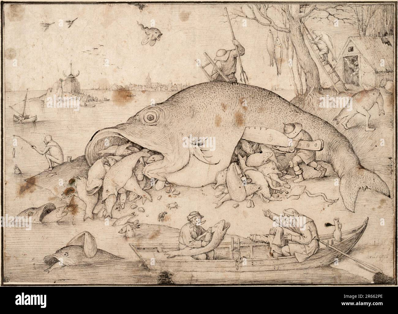 The Big Fish Eat the Little Fish, dessin de Brueghel pour un imprimé de 1556. Breughel était le peintre le plus important de la Renaissance hollandaise et flamande. Son choix de sujets a été influent, il a rejeté les portraits et les scènes religieuses en faveur des scènes locales et paysannes. Banque D'Images