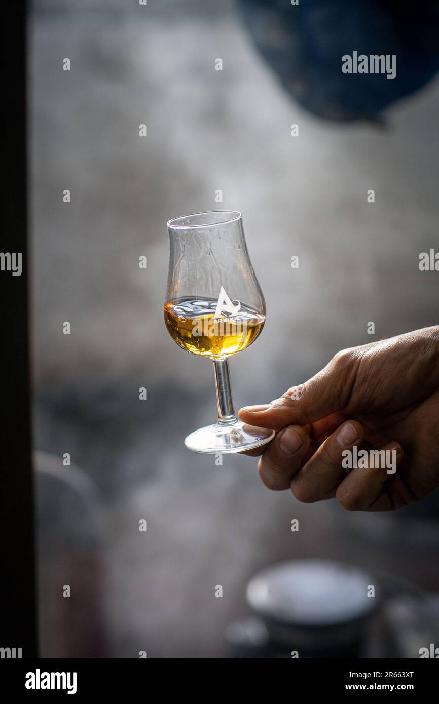 Gros plan d'une main tenant un verre de whisky single malt Arbikie Banque D'Images