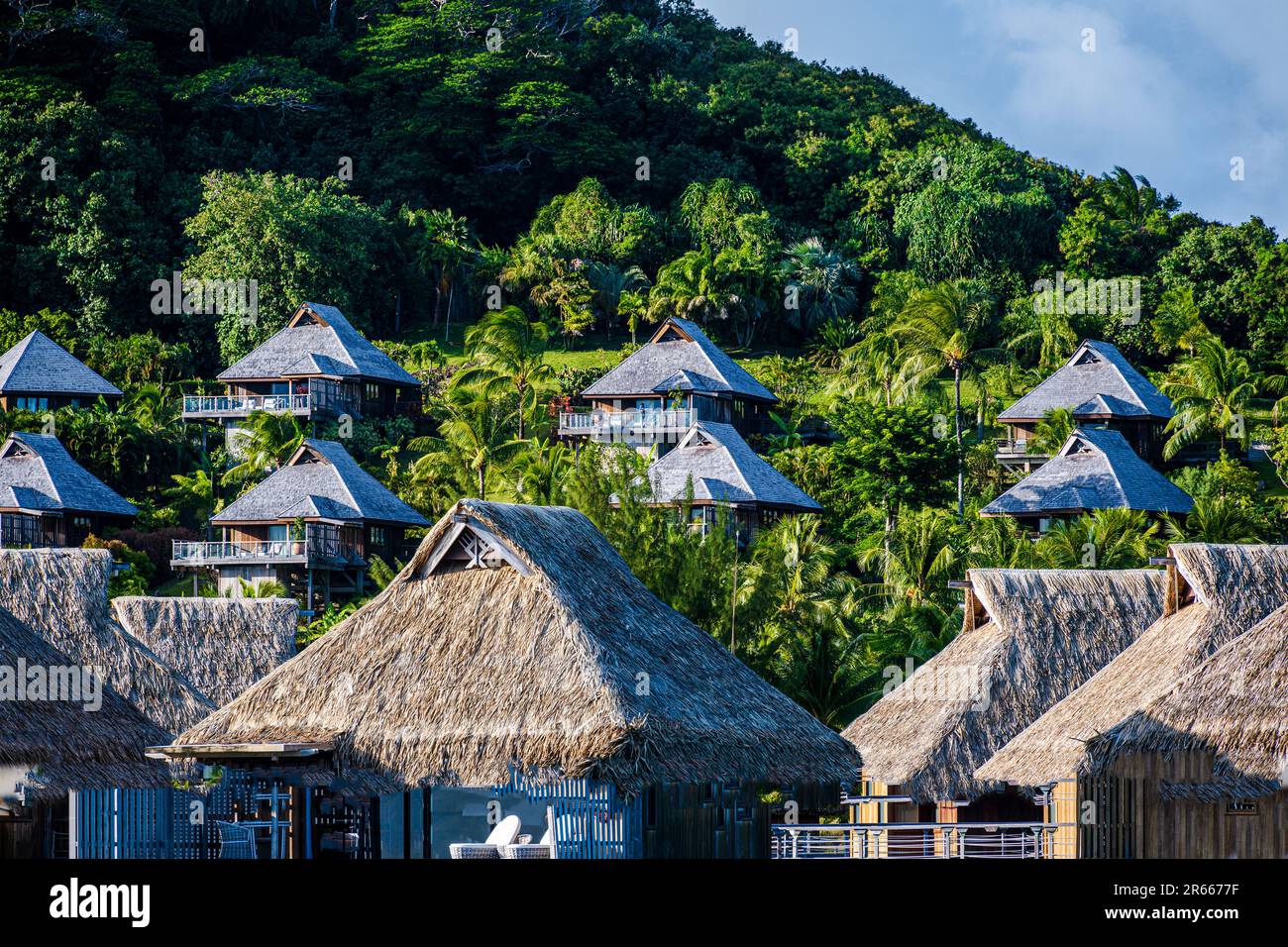 Photo de huttes de chaume construites dans une forêt sur le flanc d'une colline à Bora Bora. Banque D'Images