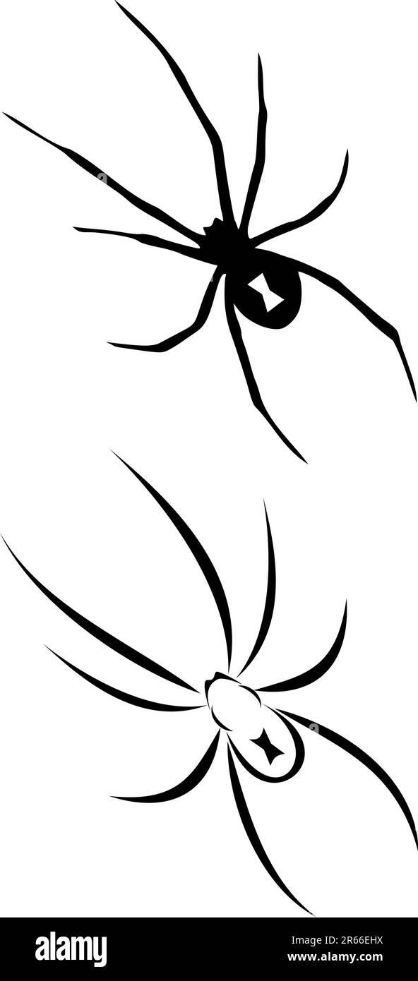 Un tatouage tribal araignée veuve noire Illustration de Vecteur
