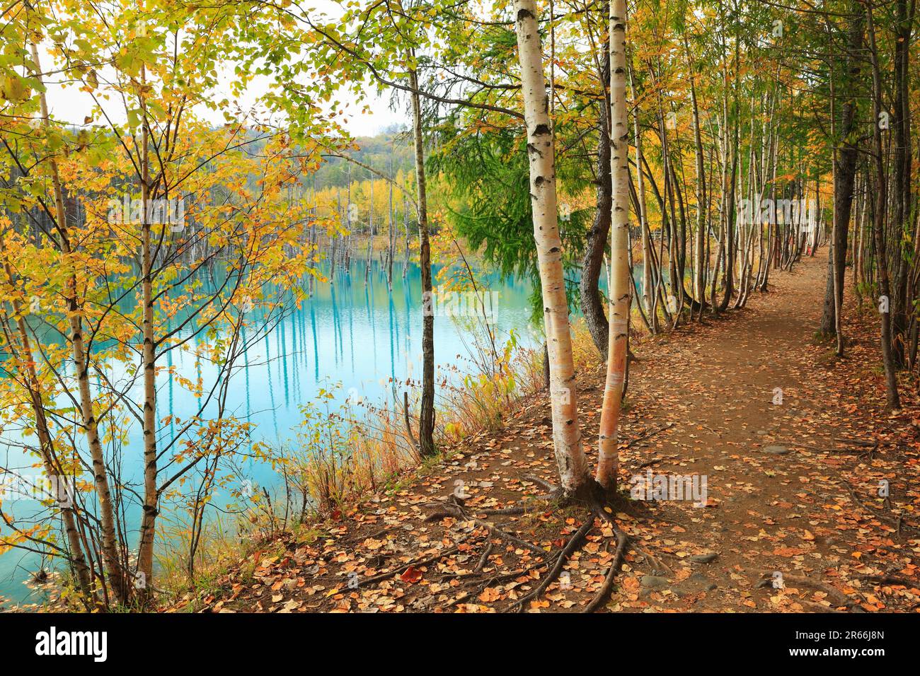 Blue Pond et feuilles d'automne Banque D'Images