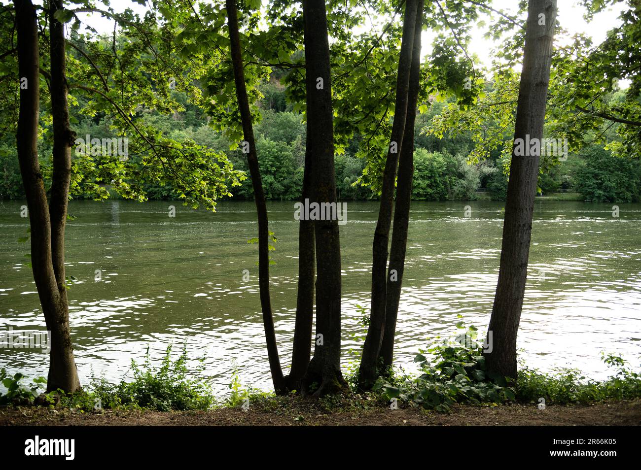 Bad Cannstatt, Neckar, Max Eyth Voir Banque D'Images