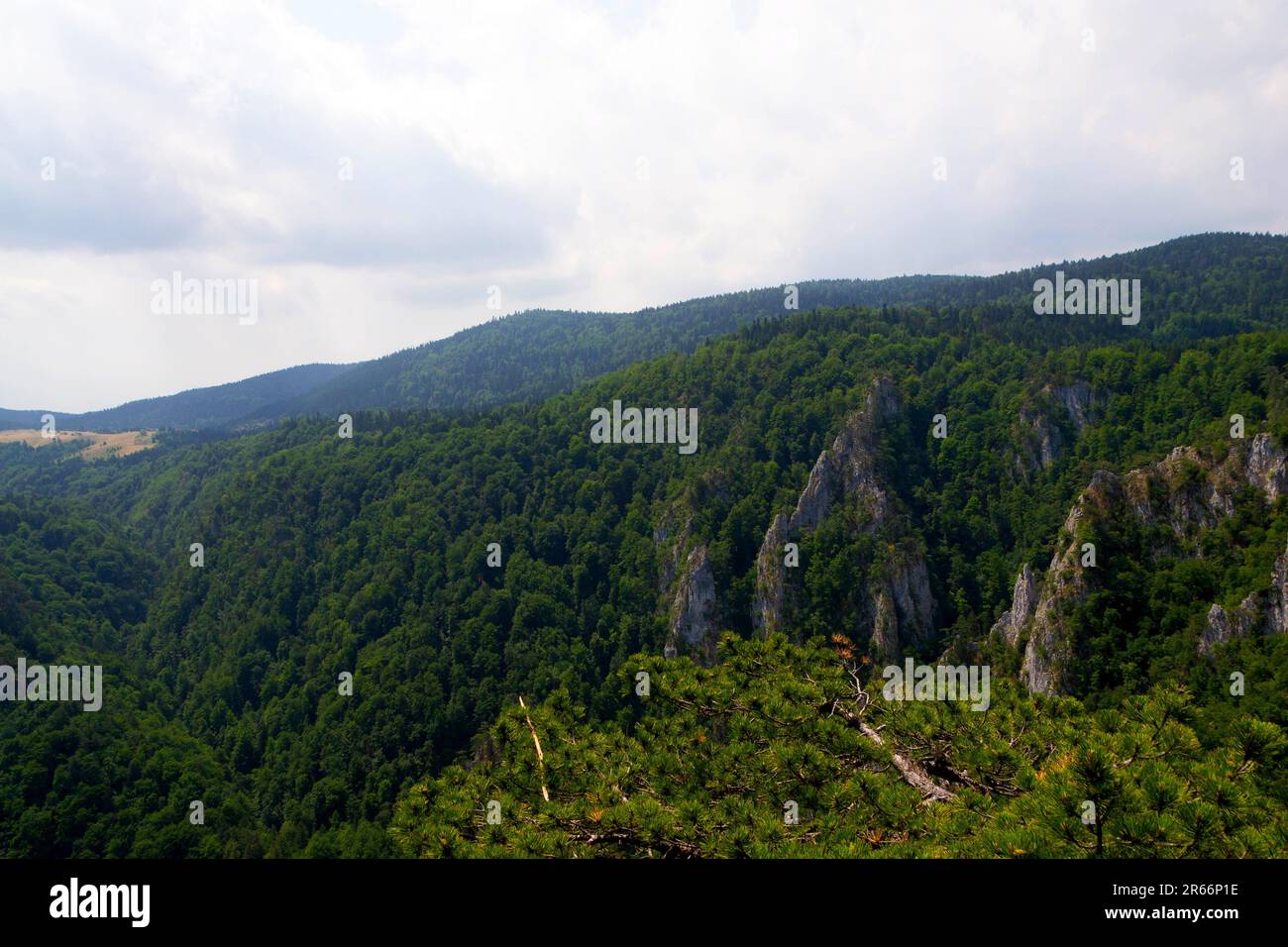 Admirez les majestueuses montagnes et plongez dans la splendeur sereine d'une nature intacte. De ce point de vue pittoresque, admirez l'harmonie Banque D'Images