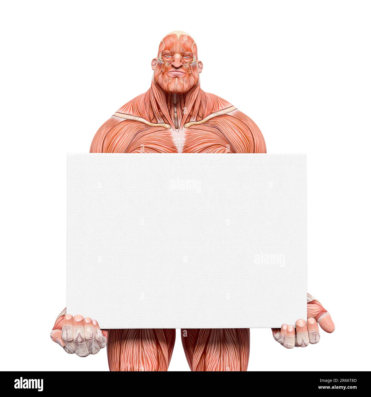 les cartes de muscle de bodybuilder tiennent un signe blanc sur fond blanc, illustration 3d Banque D'Images