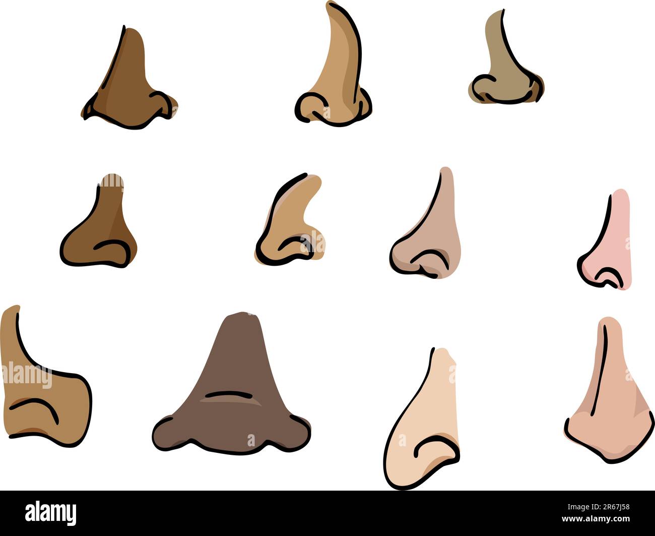 Un jeu de 11 dessins de pièces de corps de nez humain. Illustration de Vecteur