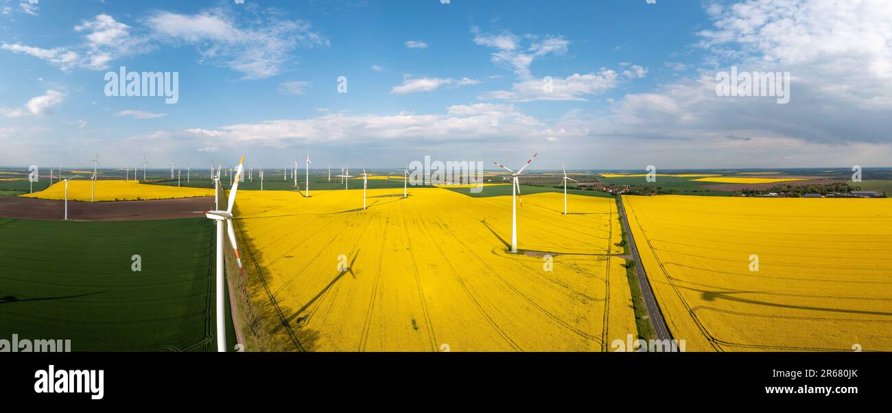 grüne Energiegewinnung Windräder in Landschaft mit Rapsfeld Banque D'Images