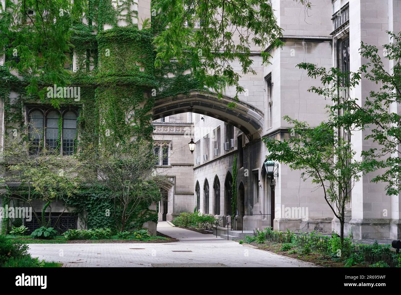 Ivy couvrait des bâtiments en calcaire néo-gothique sur le campus de l'Université de Chicago Banque D'Images